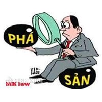 Trách nhiệm của thành viên khi công ty TNHH bị phá sản ? Có được mở công ty mới sau khi phá sản ?