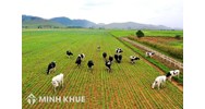 Chuyển đổi mục đích sử dụng đất ruộng sang chăn nuôi? Xây dựng chuồng trại chăn nuôi có phải xin phép không ?