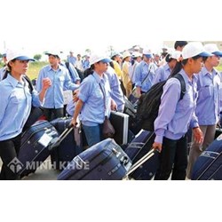 Hợp đồng lao động về đưa người lao động đi làm việc ở nước ngoài?