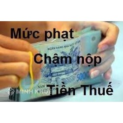 Tư vấn mức xử phạt do chậm kê khai thuế ?