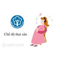 Tư vấn hưởng chế độ bảo hiểm thai sản với người lao động