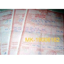 Xác định mức của thuế tháng, thuế môn bài thế nào?