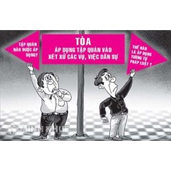 Nguyên tắc của việc sử dụng tập quán trong hệ thống pháp luật Việt Nam?