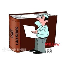 Tư vấn về việc công ty tự ý hủy bỏ hợp đồng lao động và kiện ngược trở lại người lao động?