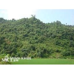 Bồi thường thiệt hại vi phạm hợp đồng chuyển nhượng đất trồng rừng ?
