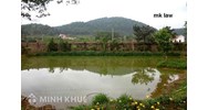Đăng ký đất ao vườn mà cụ để lại như thế nào?