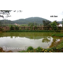 Đăng ký đất ao vườn mà cụ để lại như thế nào?