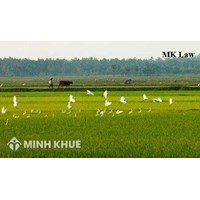 Vấn đề chia đất cho người thực hiện nghĩa vụ quân sự năm 1993 ? 