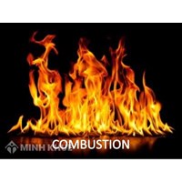 Register inventions in the area of combustion apparatus and combustion processes in Vietnam?