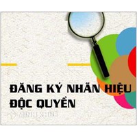 Có thể đăng ký bảo hộ nhiều nhãn hiệu cho nhiều lĩnh vực không?