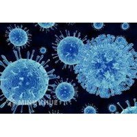 Hiểu đúng về Chỉ thị số 16/CT-TTg và hoạt động của tổ chức hành nghề luật sư, công chứng trong dịch Covid-19