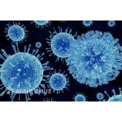 Hiểu đúng về Chỉ thị số 16/CT-TTg và hoạt động của tổ chức hành nghề luật sư, công chứng trong dịch Covid-19