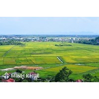 Diện tích tối thiểu tách thửa của 63 tỉnh/thành phố trên cả nước