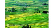 Phí thẩm định hồ sơ cấp giấy chứng nhận quyền sử dụng đất ở tỉnh Lào Cai ,Yên Bái?