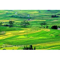 Phí thẩm định hồ sơ cấp giấy chứng nhận quyền sử dụng đất ở tỉnh Lào Cai ,Yên Bái?