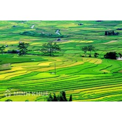 Phí thẩm định hồ sơ cấp giấy chứng nhận quyền sử dụng đất ở tỉnh Lào Cai ,Yên Bái?
