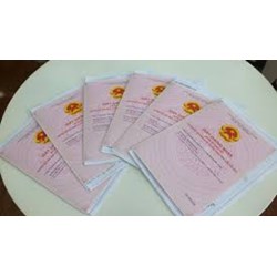 Người thuê đất có được cấp Sổ đỏ không? Quyền của người thuê đất