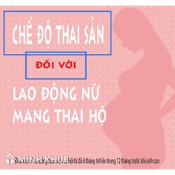 Chế độ thai sản đối với người lao động là phụ nữ mang thai hộ