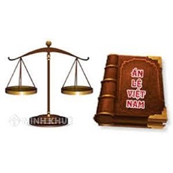 Án lệ số 10/2016/AL về quyết định hành chính là đối tượng khởi kiện vụ án hành chính
