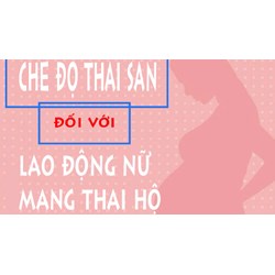 Chế độ thai sản cho người mang thai hộ quy định như thế nào?