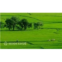 Quy định về diện tích tối thiểu để tách thửa tại Tỉnh Bà Rịa Vũng Tàu, Bình Định, Ninh Thuận, Lạng Sơn, Lào Cai, Bình Thuận, Vĩnh Long, Quảng Trị ?