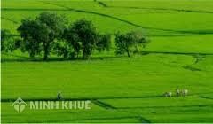 Quy định về diện tích tối thiểu để tách thửa tại Tỉnh Bà Rịa Vũng Tàu, Bình Định, Ninh Thuận, Lạng Sơn, Lào Cai, Bình Thuận, Vĩnh Long, Quảng Trị ?