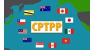 Các cơ quan mua sắm cấp trung ương thực hiện đấu thầu trong phạm vi CPTPP?