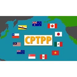 Các cơ quan mua sắm cấp trung ương thực hiện đấu thầu trong phạm vi CPTPP?