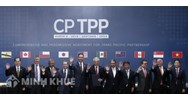 Các cơ quan mua sắm khác thực hiện đấu thầu trong phạm vi CPTPP