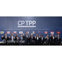 Các cơ quan mua sắm khác thực hiện đấu thầu trong phạm vi CPTPP