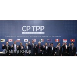 Các cơ quan mua sắm khác thực hiện đấu thầu trong phạm vi CPTPP