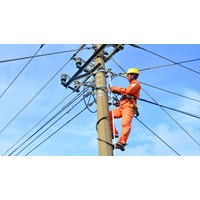 Biểu mẫu cấp giấy phép hoạt động điện lực