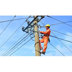Biểu mẫu cấp giấy phép hoạt động điện lực