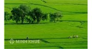 Tỉnh Hà Giang, Hà Tĩnh, Long An có quy định mới về hạn mức công nhận đất ở?