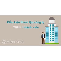 Tư vấn pháp luật về hồ sơ thành lập công ty trách nhiệm hữu hạn 1 thành viên 