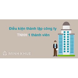 Tư vấn pháp luật về hồ sơ thành lập công ty trách nhiệm hữu hạn 1 thành viên 