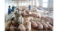 Mẫu hợp đồng hợp tác kinh doanh góp vốn bằng quyền sử dụng đất mới