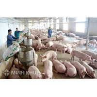 Mẫu hợp đồng hợp tác kinh doanh góp vốn bằng quyền sử dụng đất mới