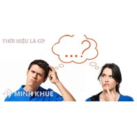Các con có quyền thừa kế khi bố mẹ mua nhà sở hữu nhà nước ? 