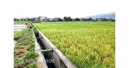 Quy định về hành lang bảo vệ nguồn nước, kênh mương?