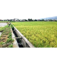 Quy định về hành lang bảo vệ nguồn nước, kênh mương?