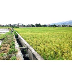 Quy định về hành lang bảo vệ nguồn nước, kênh mương?