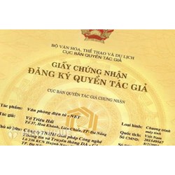Hồ sơ đăng ký quyền tác giả, quyền liên quan bao gồm những gì? ai là người đi nộp