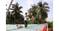 Cây ăn quả gây thiệt hại cho nhà hàng xóm có phải bồi thường không?
