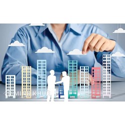 Giám đốc công ty TNHH ủy quyền cho cá nhân khác thực hiện nhiệm vụ như thế nào?