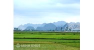 Cán bộ công chức được bổ nhiệm có bắt buộc là Đảng viên hay không?