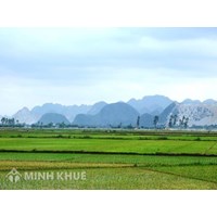 Cán bộ công chức được bổ nhiệm có bắt buộc là Đảng viên hay không?