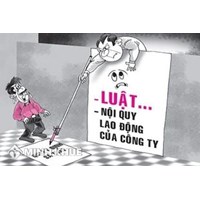 Hiệu lực của quyết định kỷ luật và khiếu nại kỷ luật