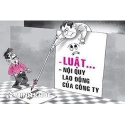 Hiệu lực của quyết định kỷ luật và khiếu nại kỷ luật