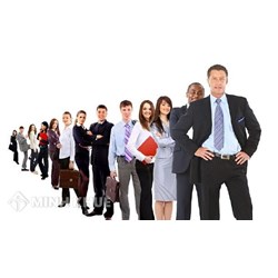Phân tích các nguyên tắc cơ bản của luật lao động hiện nay ?